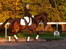 IMG_8035_web